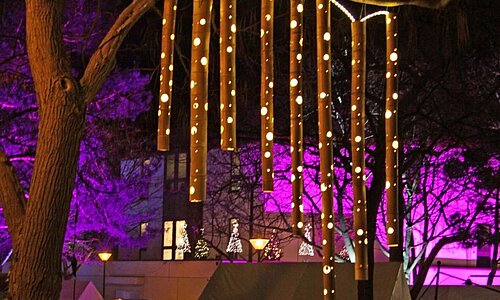 Klosterlichter im Klostergarten