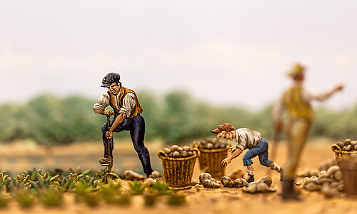 Ausschnitt aus dem Diorama "Zuckerrübenernte um 1869"
