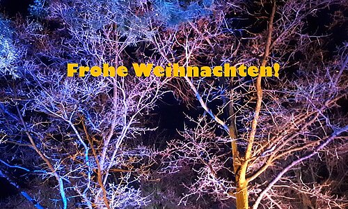 Weihnachtsgruß des Bürgermeisters