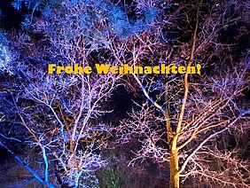 Weihnachtsgruß des Bürgermeisters