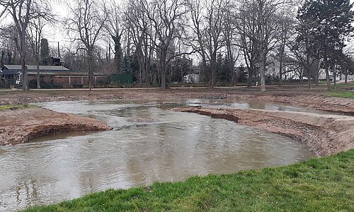 Teil des neuen Flussbettes der Erft im Erftpark Euskirchen; Quelle: Erftverband