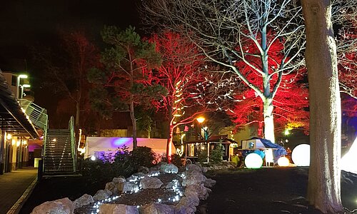 Klosterlichter im Klostergarten 2018