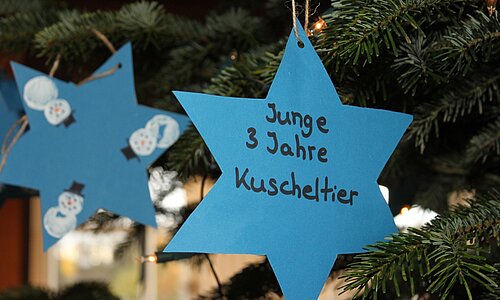 Wunschsterne des DKSB