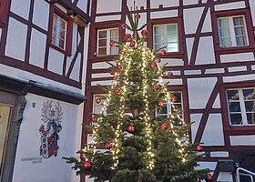 Weihnachtsbaum am Alter Markt