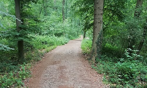 Trimm-Dich-Pfad im Euskirchener Stadtwald.