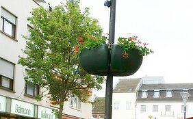 Geranien in der Innenstadt