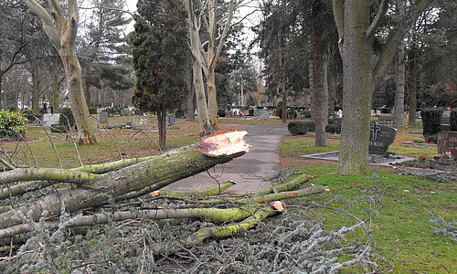 Sturmschaden auf dem Euskirchener Friedhof