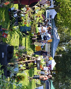 Sommerfest Treff Natur